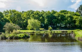 Camping Morbihan avec bibliothèque