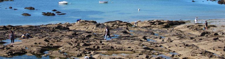 peche a pied Morbihan