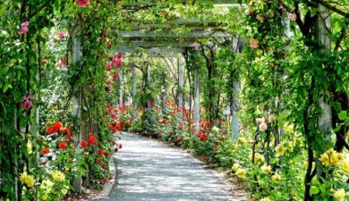 Les plus beaux parcs et jardins du Morbihan