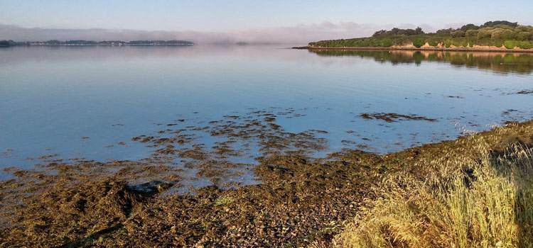 Les incontournables du Golfe du Morbihan