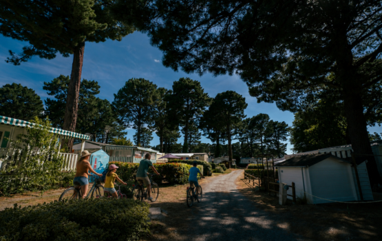 camping_paradis_bretagne_morbihan_arvor_velo_01 camping_paradis_bretagne_morbihan_arvor_velo_01