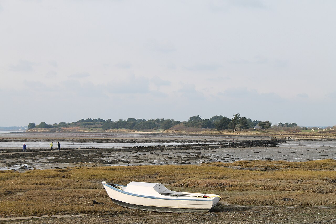 L’île de Tascon et sa chaussée découverte à marée basse, dans le golfe du Morbihan
