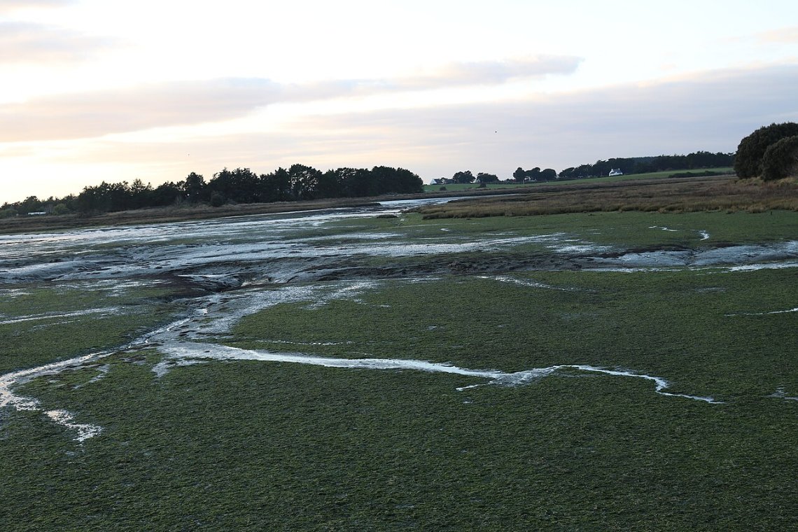 Marais de la Villeneuve au Hézo, près de la boucle du marais salant de Lasné